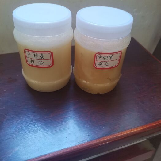 汉源县柑橘蜜 出售中蜂蜜