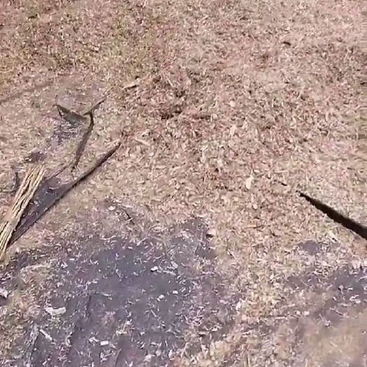 建昌县玉米秸秆大块，可过夏季储存，每块都有水分测试仪测