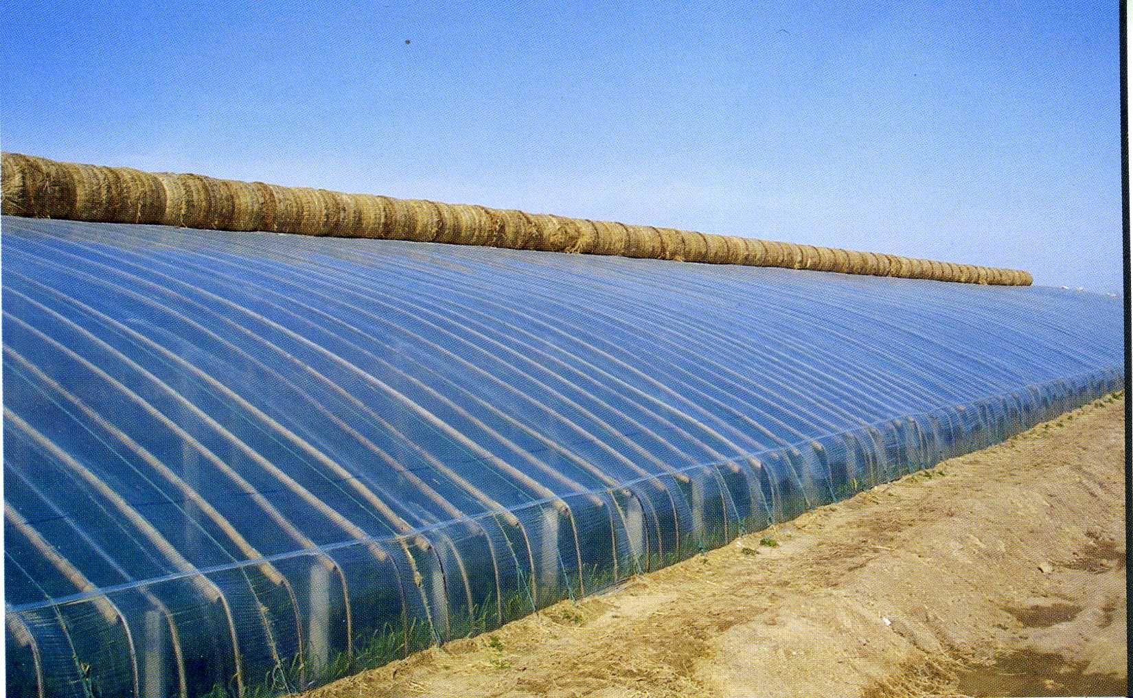 种植大棚  暖棚