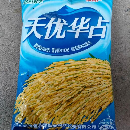 金色农华天优华占优质杂交水稻种子国审稻谷种籼型米质优500克