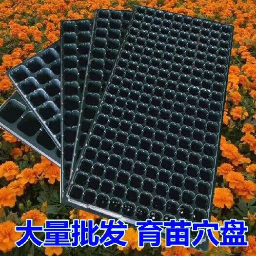 穴盘/育苗盘 育苗盘加厚穴盘托盘