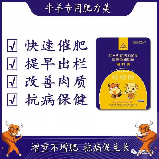郑州营养添加剂  牛羊催肥有绝招，就用肥力美