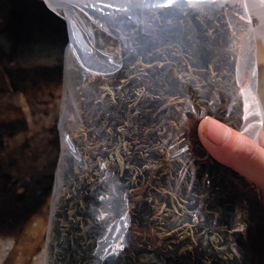 平乐县 石崖茶