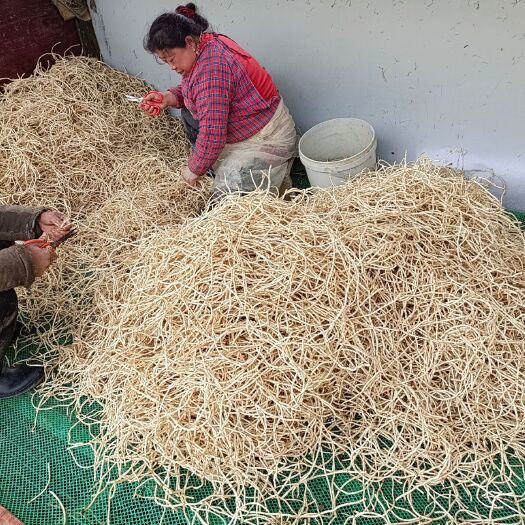 凤凰县白茎鱼腥草 鱼腥草、生姜、猕猴桃