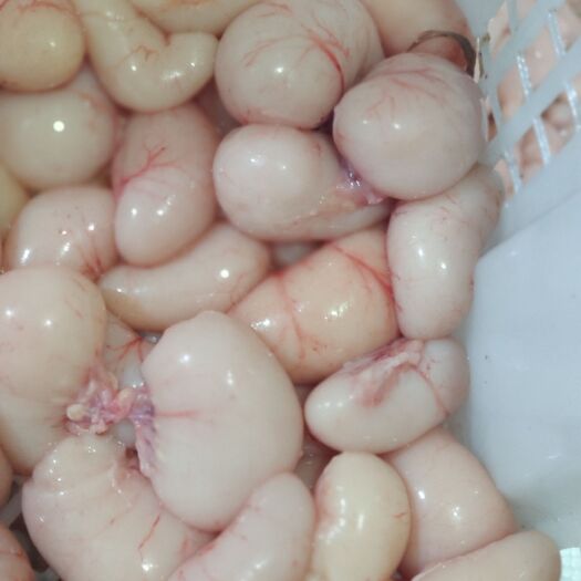 嘉祥县鸡腰子 每日鲜鸡腰