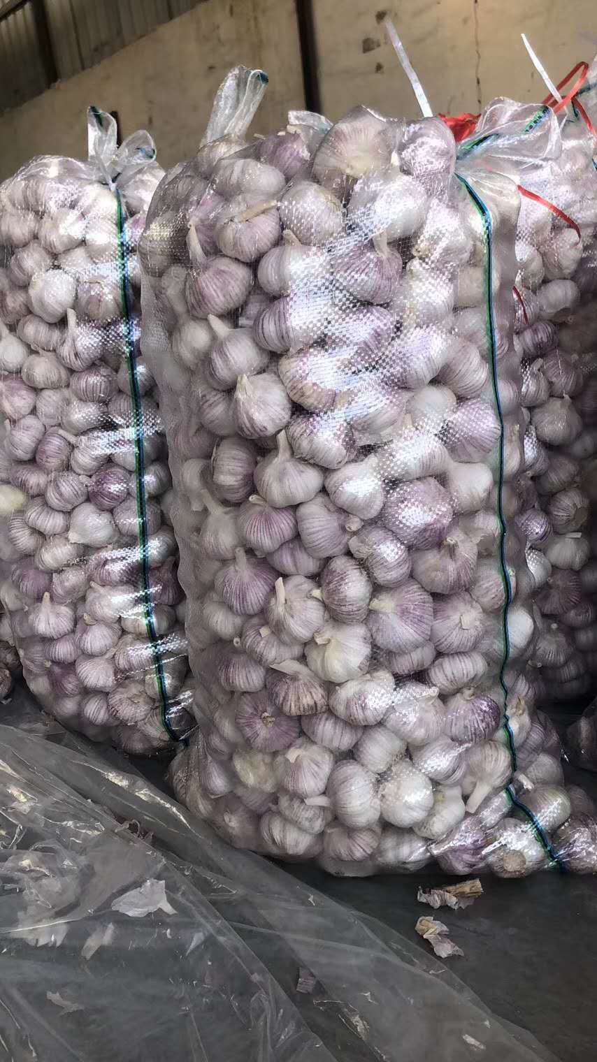 太空蒜  金乡太空早熟大蒜，产地直销，品质保障，欢迎对接