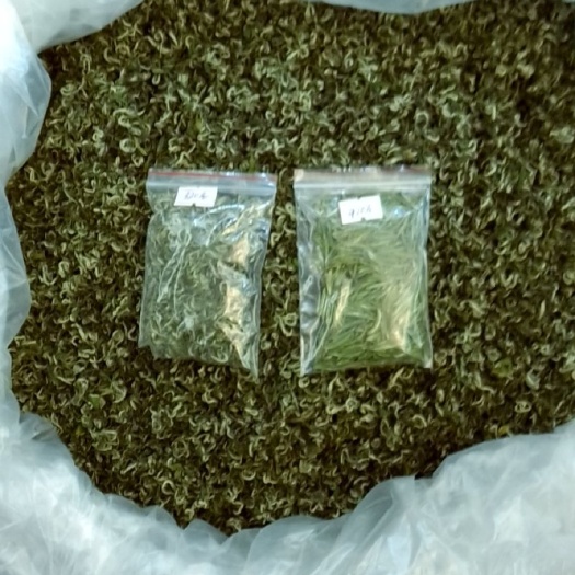 凤冈县龙井茶 风冈锌硒茶