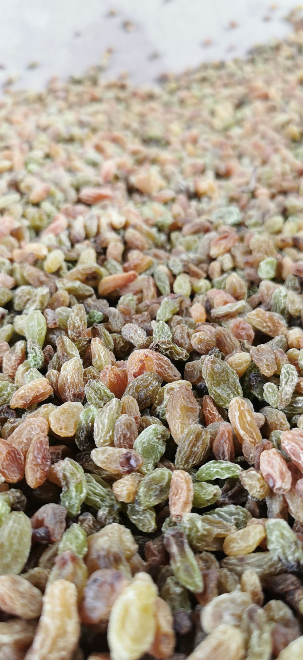 无核葡萄干 新疆吐鲁番市葡萄干-无核白通货葡萄干-麻籽