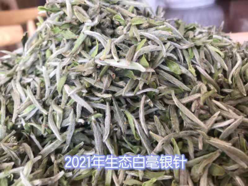 包邮 茶福鼎白毫银针 基地茶园白茶散装500克