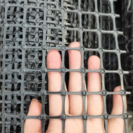 荷兰网   塑料养殖网漏粪网鸭鹅床隔离网黑胶鸡鹅孔雀网床养殖网防老化