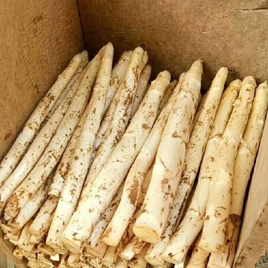單縣菏澤蘆筍單縣蘆筍有機(jī)無機(jī)農(nóng)產(chǎn)品
