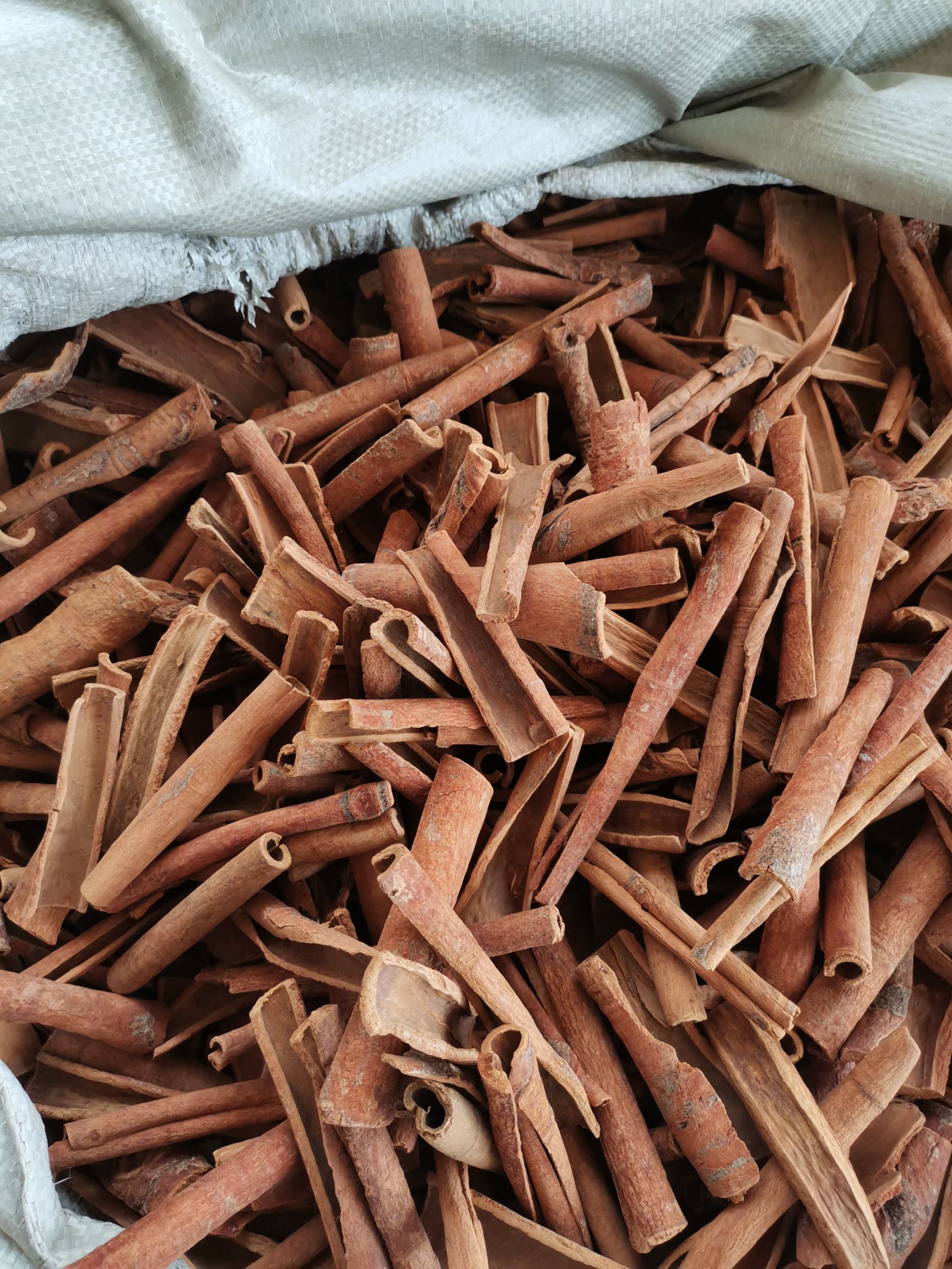 厚肉桂  肉桂心 去皮 广西桂皮肉桂无硫干品含量高调料家用卤