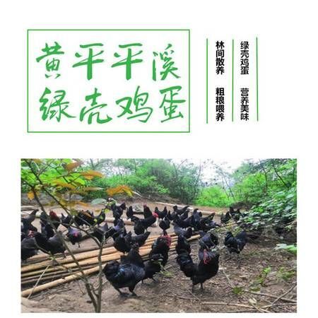 黄平县绿壳蛋 【黄平·绿壳鸡蛋】