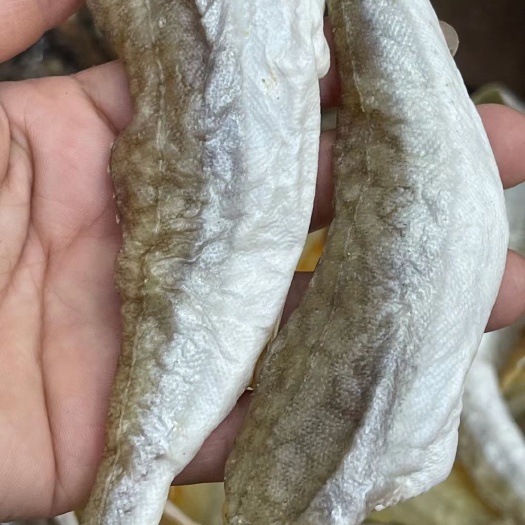 湛江角鱼干，红鱼片。