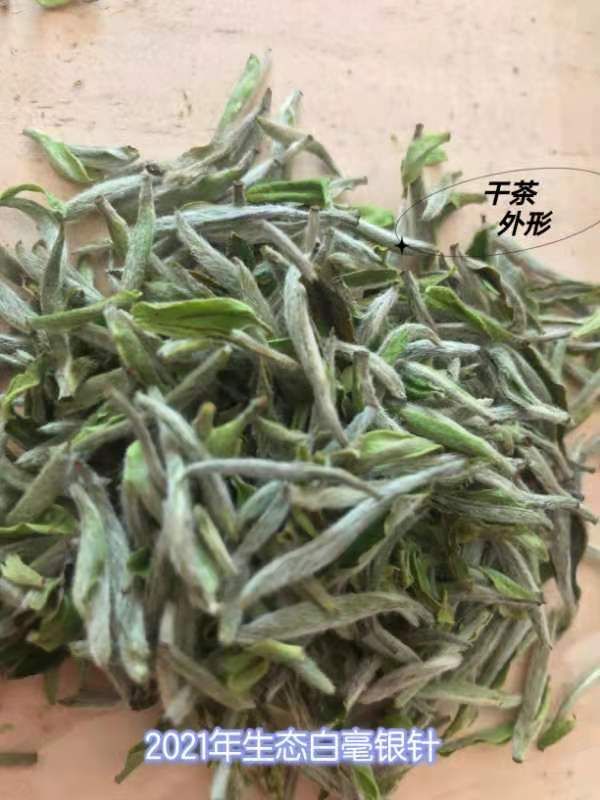 包邮 茶福鼎白毫银针 基地茶园白茶散装500克