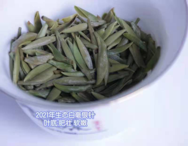 包邮 茶福鼎白毫银针 基地茶园白茶散装500克
