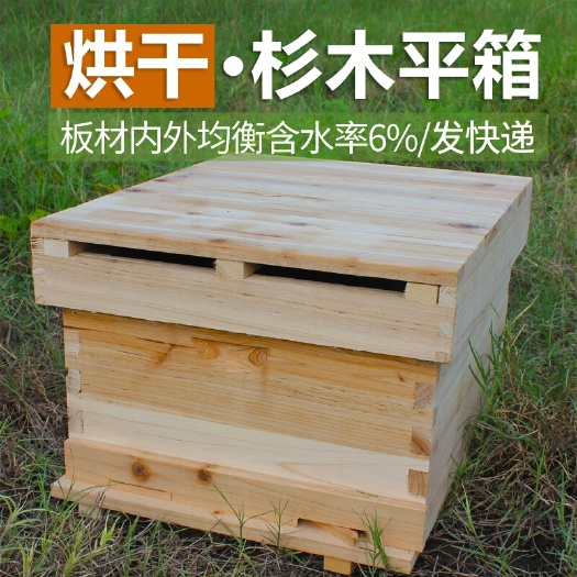 长葛市十框标准诱蜂桶 中蜂蜂箱全套 蜂大哥方形蜜蜂箱杉木不煮蜡养蜂