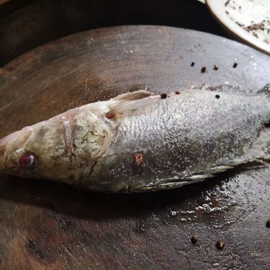 黄山 安徽黄山臭鳜鱼净膛去鳃鱼之道
