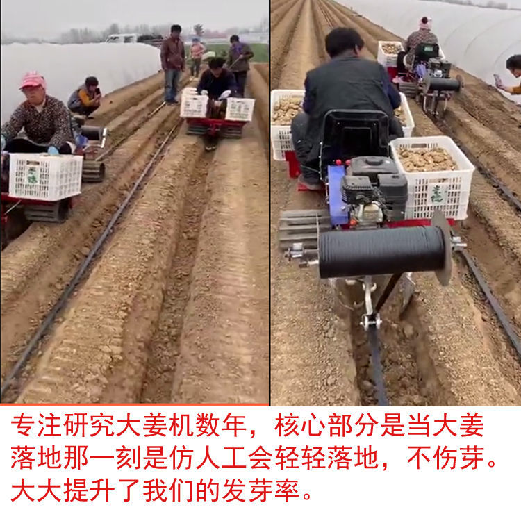 种姜机  耕整机械  田园管理机种姜播种机 拉滴灌带 盖种埋土一体 专