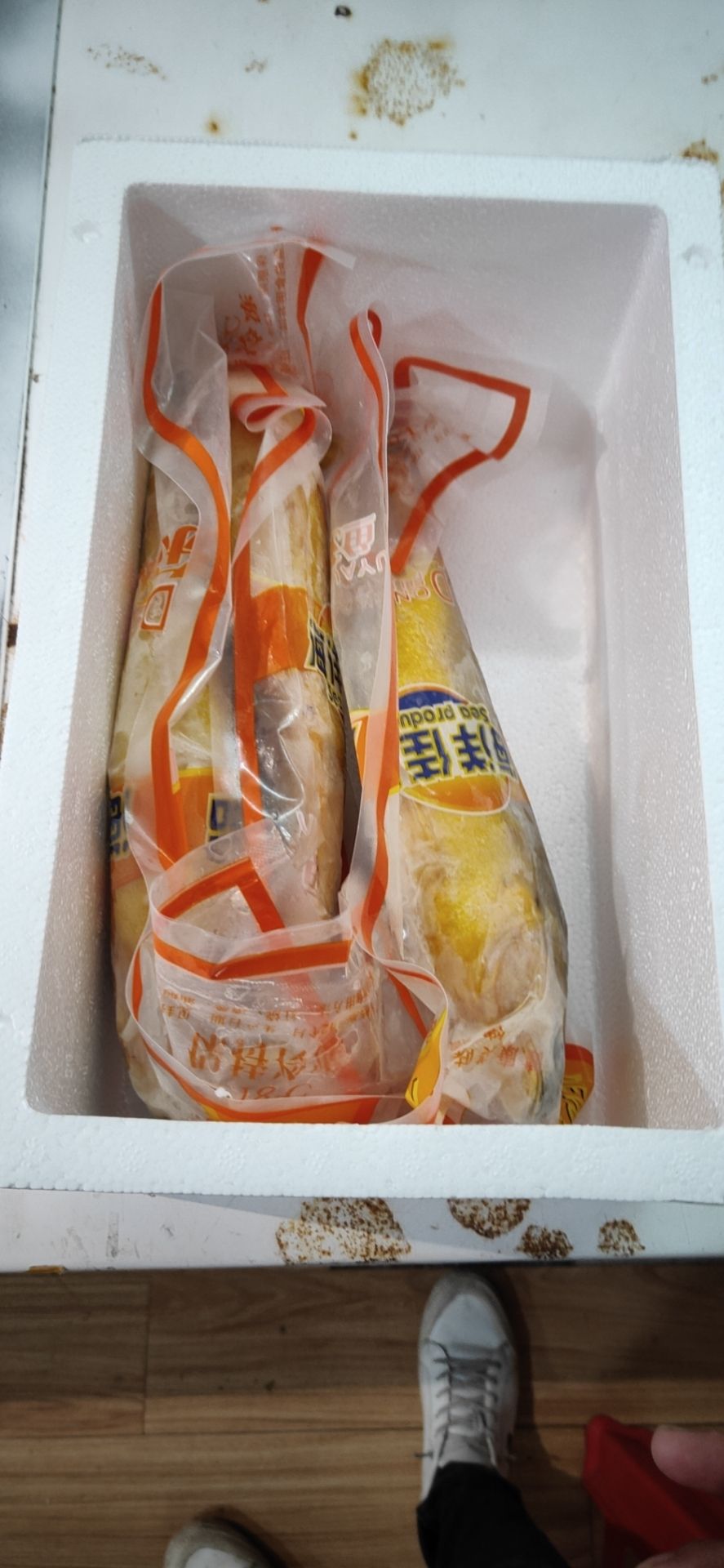 新鲜大黄花鱼鲜活大黄鱼鱼类海鲜水产鲜活冷冻大海鱼鲜鱼生鲜批发