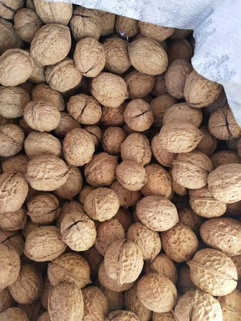 大姚薄皮核桃。油而不腻。口感好