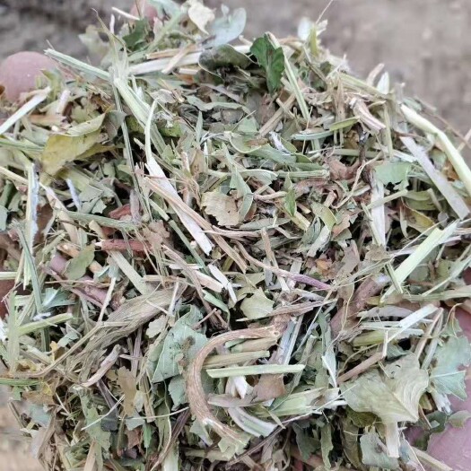 正阳县花生秧