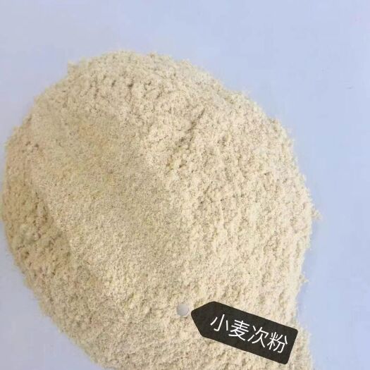 石家庄小麦次粉