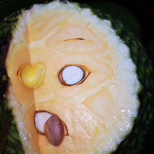 凭祥市红肉菠萝蜜