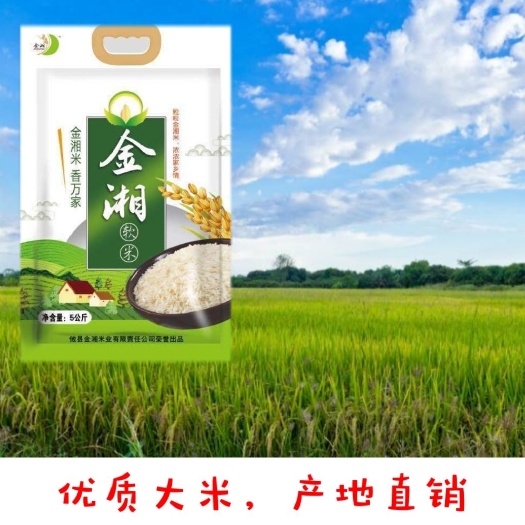 攸县籼米  金湘软米