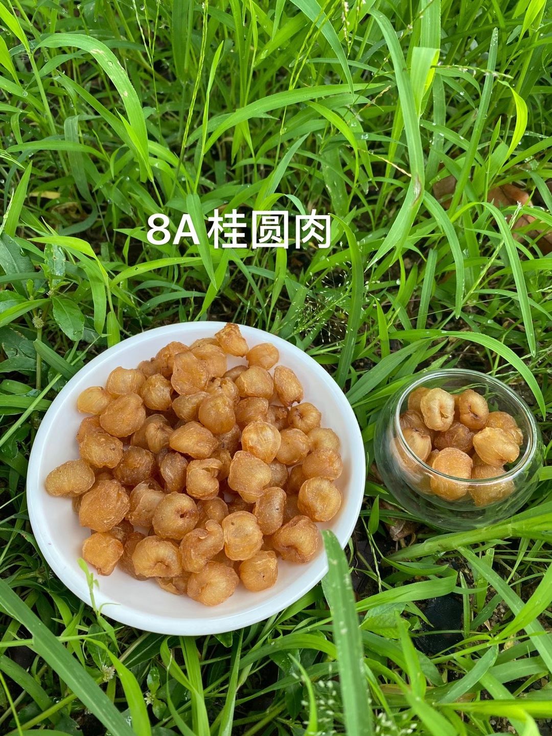 高州8a级桂圆肉 无核 龙眼肉干 土法烘焙 非莆田泰国货