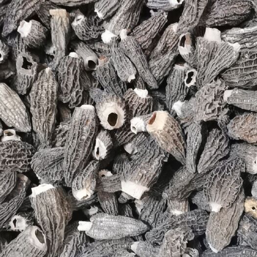 金堂县 干货羊肚菌！