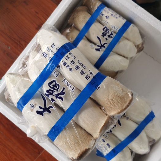 鲜杏鲍菇  杏鲍菇(特级)