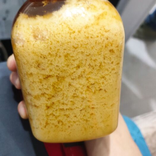 平塘县 供应大量优质土蜂蜜质量保证 贵州区