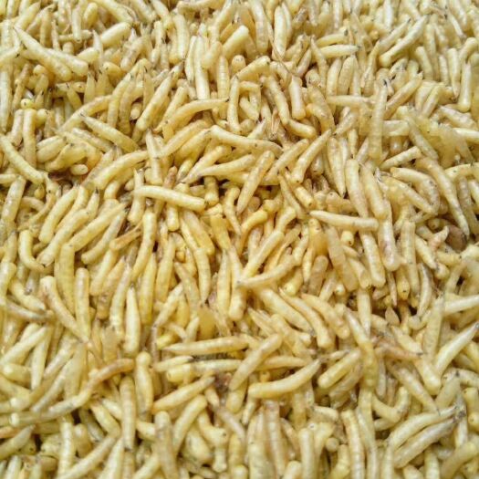 邛崃市蝇蛆  无菌处理高蛋白家蝇干虫