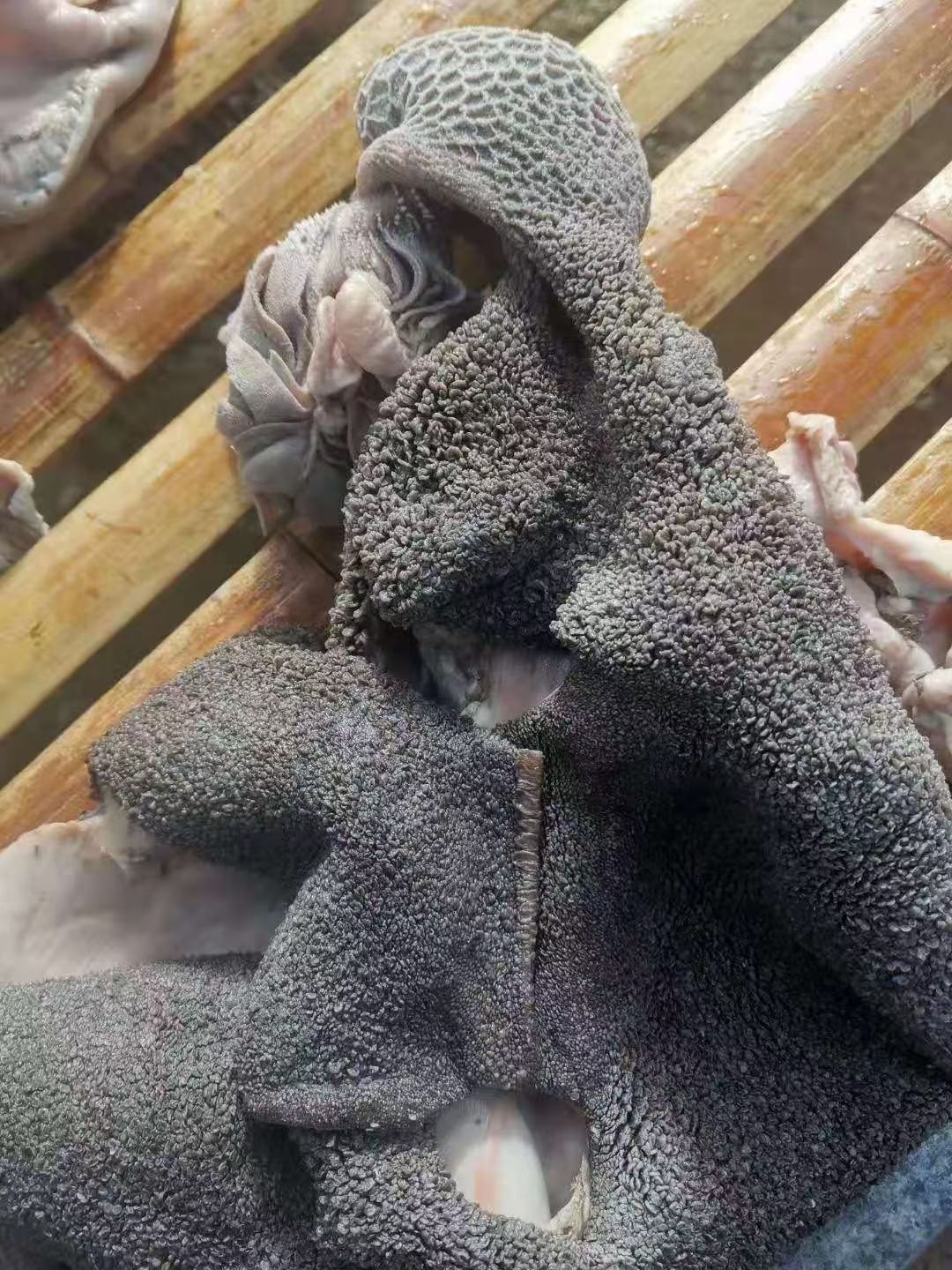 羊肚 五香熟羊毛肚，一手货源