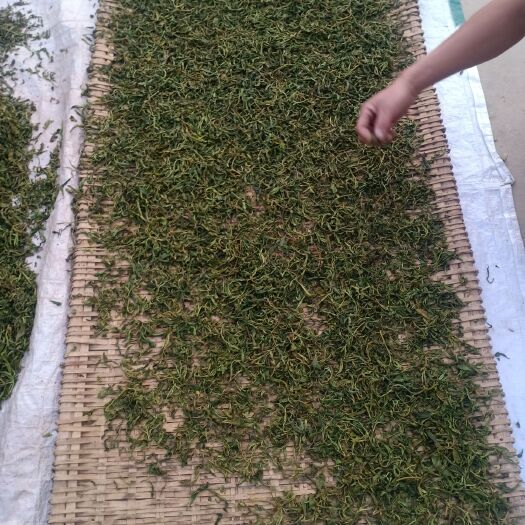 云县绿茶 手工古树茶