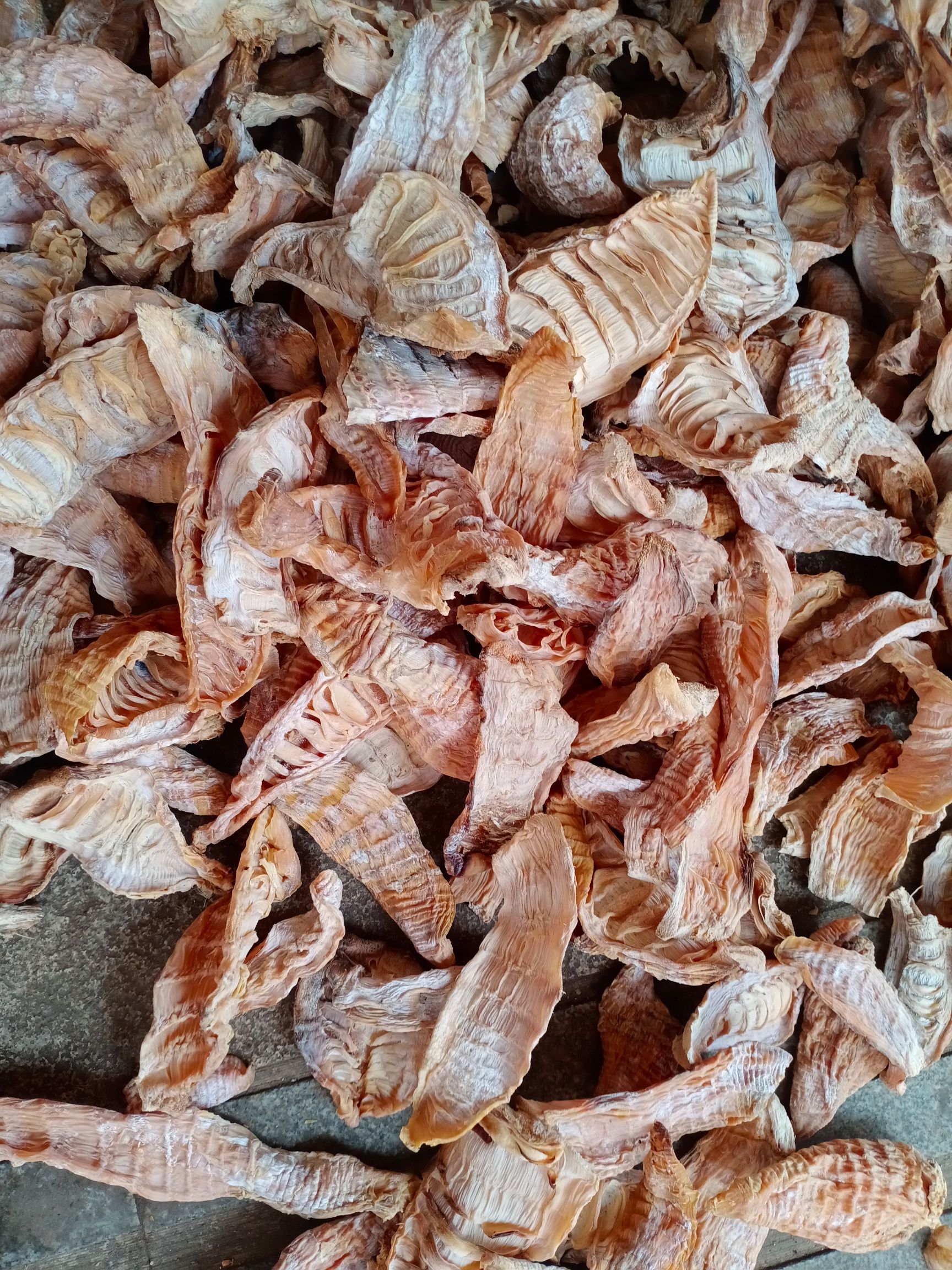 笋干干笋牙笋3-5寸。电烤笋晒笋。