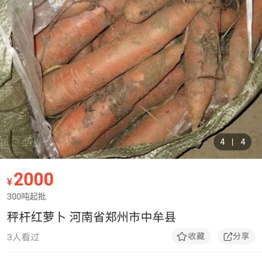 中牟县三红胡萝卜 河南省郑州市中牟县 