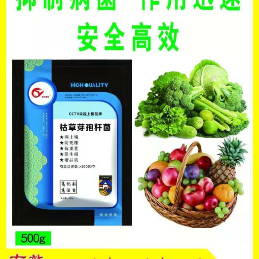 邯郸枯草芽孢杆菌/农作物的贴心医生