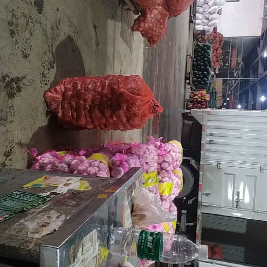 西安大蒜 云南鲜蒜