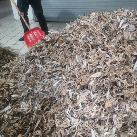 绩溪县冬笋干安徽原产地量大价优