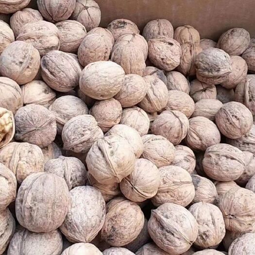 泽普县薄皮核桃 新疆185纸皮核桃