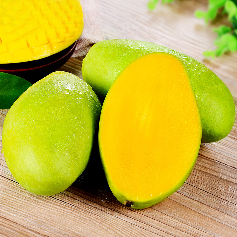 正宗云南大青芒果大果大青芒3/5/10斤装新鲜水果整箱包邮
