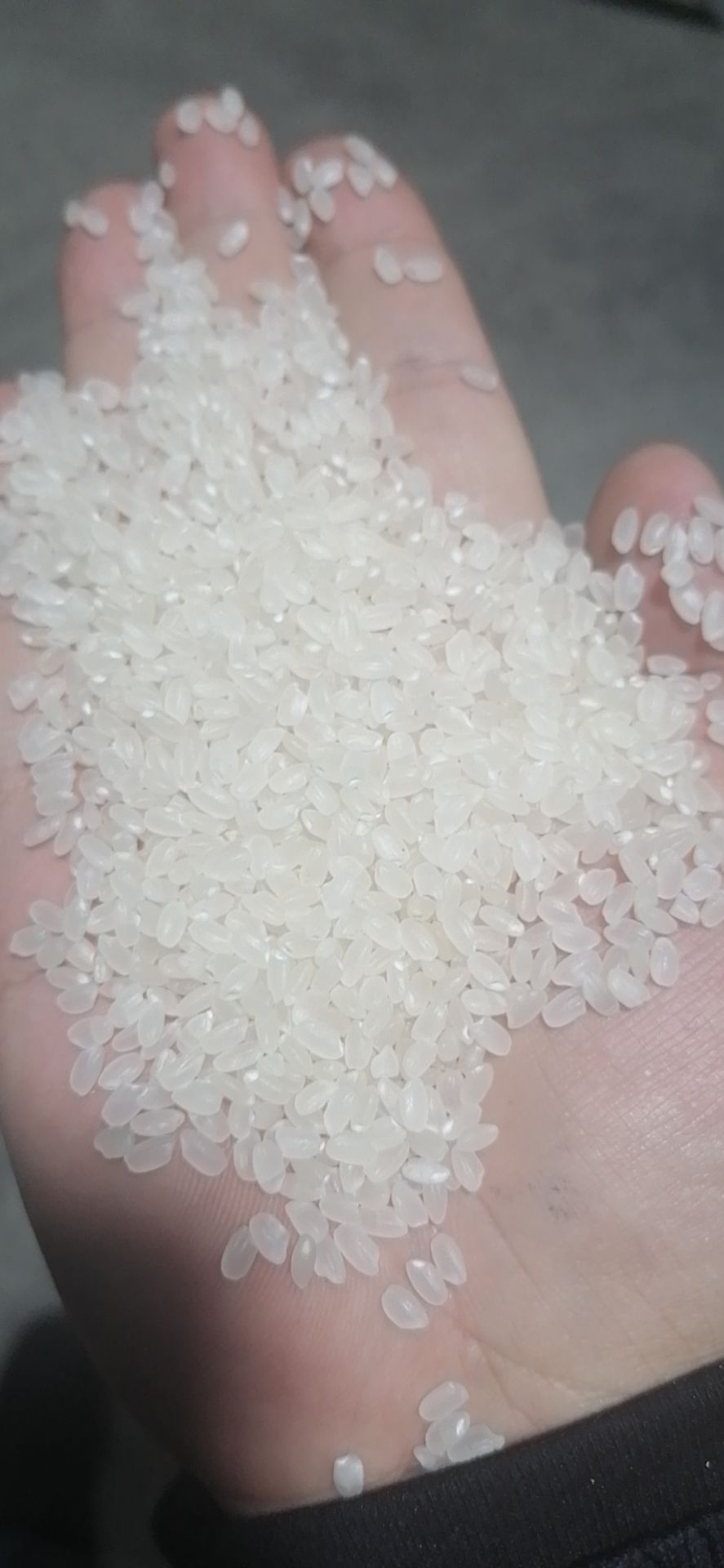粳米 山东鱼台大米
