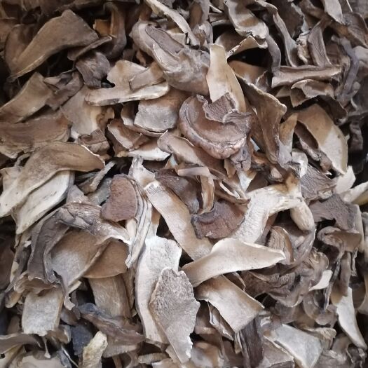 香河县美味牛肝菌 精品牛肝菌蘑菇干