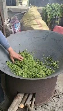 荷叶茶  瑶山茶叶