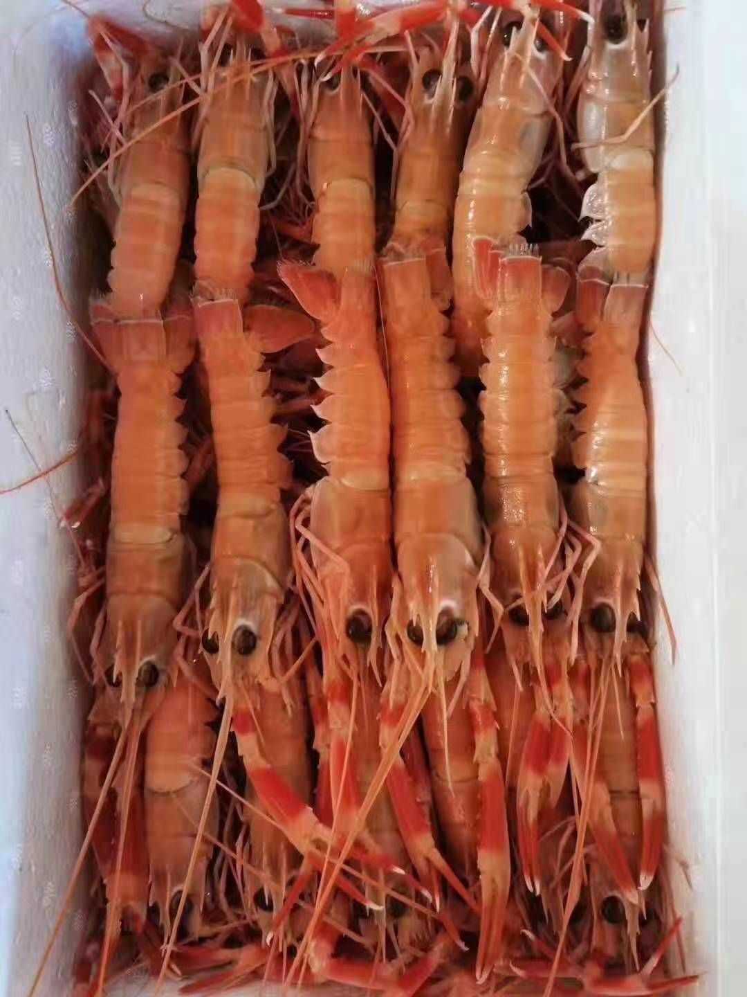  海捕小龙虾，微商，超市