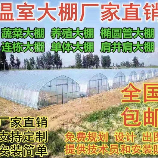 沭阳县种植大棚  蔬菜大棚 连栋棚 双拱棚 尺寸可定制现场指导安装