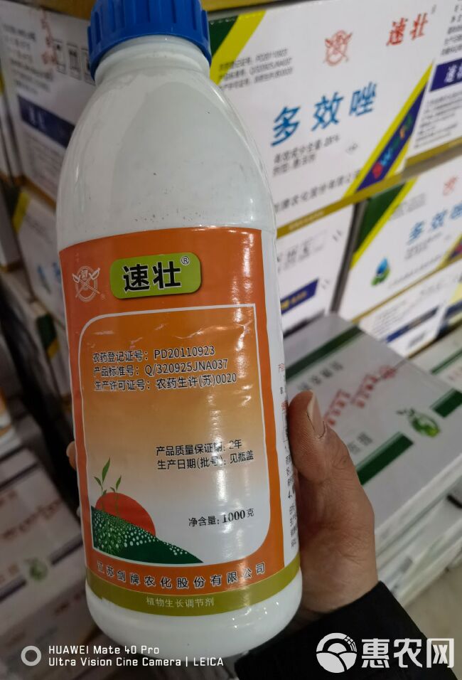 剑牌速壮25%多效唑1000g悬浮剂，控旺调节生长