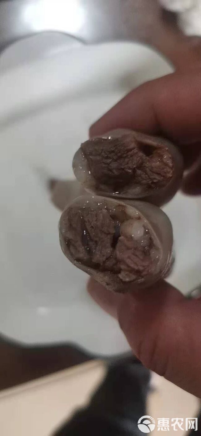 羊肠  肉肠   肠包肉   好食材出好产品